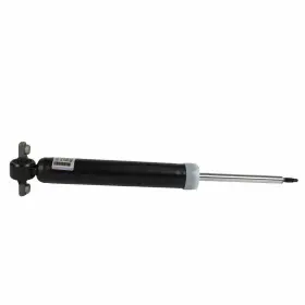 Ash24700 Motorcraft Rr Shock Absorber