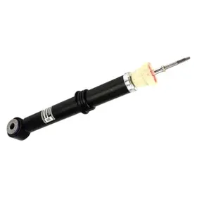 Ash866072 Motorcraft Shock Absorber