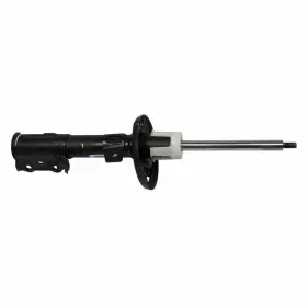 Ast-12335 Motorcraft Suspension Strut Assembly-new Fits 14-19 Ford Fiesta