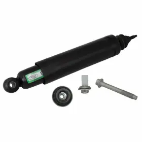 Ast-223 Motorcraft Genuine Suspension Strut Assembly