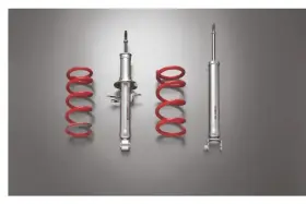 E31101ea00us Nissan New Genuine Nismo Suspension Strut And Spring Kit 2009-2020 370z
