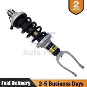 4s0412019s Oedamp-autoparts 4s0412019k 1 Front Lh Or Rh Shock Asborber With Magnetic For 2016-21 Audi R8 4s3 #4s0412019s