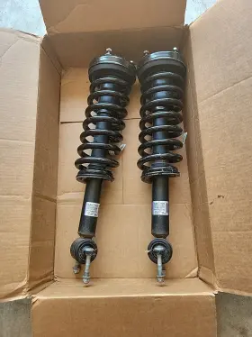 Jl34-18045 Other 15-18 Ford F150 Strut Shock Absorber Pair Oem