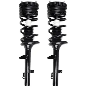 Ew070705a01 Parautostore For 1994-2007 Ford Taurus Rear 2 Complete Struts Assembly With Coil Springs Pair