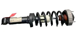 7l5512021ae Porsche 03-10 Cayenne Driver/passenger Rear Shock Absorber Oem