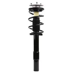 920223 Prt Frt Complete Strut Assy