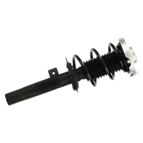 920703 Prt Front Passenger Side Strut Assembly