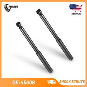 Tembor 45609 1/2set For 2006 2007 2008-2011 Honda Civic Rear Shocks Struts Absorbers