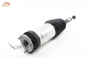 102746100g Tesla Model X Rear Left Driver Side Air Shock Strut Absorber Oem 2016 - 2020