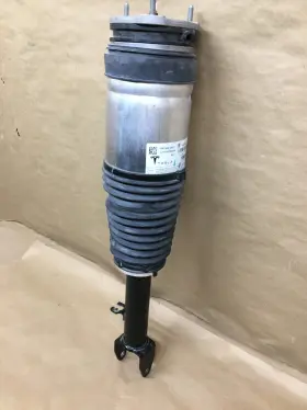 1067362-25 Tesla Mint 16-19 Model S Front Air Spring Assy Strut Shock Absorber Suspension