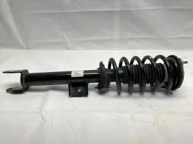11530 Tesla Suspension Strut And Coil Spring Assembly Front Unity