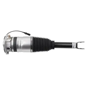 Th110078e01 The-one-fp Rear Left Air Suspension Strut For Bentley Continental Gt Gtc Flying Spur