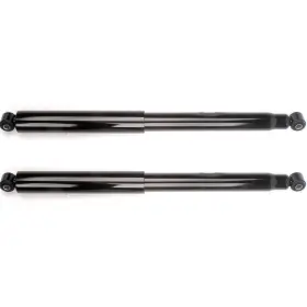 To80356101f The-one-fp Rear Right Left Gas Shocks And Struts For 2004-2007 2009-2012 Ford F-150 2wd