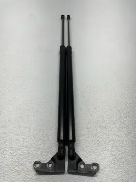 68905ae021 Toyota 07-10 Sienna Rear Left / Right Trunk Lift Support Strut Shock Oem 231930
