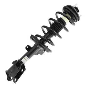 Unity Automotive 11646 Genuine Suspension Strut And Coil Spring Assembly