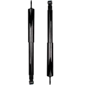 12538919 Value 2pcs Rear Shock Absorbers For 1997-2003 Ford F-150 Left Right