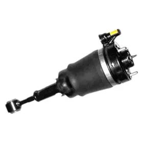 As-7315 Westar For Ford Expedition 03-06 Rear Driver Or Passenger Side Complete Strut Assembly