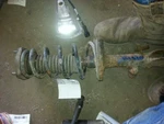 Passenger Right Strut Rear Fits 95-97 Corolla 1600518 Used. Price: $81.95.