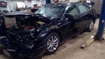Driver Strut Front Vin 5TH Digit Cylinder Hybrid Fits 12-17 Camry 10268243 Used. Price: $109.00.
