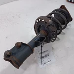 Passenger Right Strut Front Hatchback Gt Fits 13-17 Hyundai Elantra Oem Used. Price: $72.03.