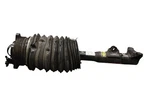 12-18 Mercedes W212 CLS550 Front Left Side Airmatic Shock Absorber Strut Oem Used. Price: $399.00.