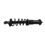 Passenger Right Strut Rear Fits 02-03 Lexus SC430 653087 Used. Price: $134.00.