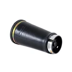 A-2202 Arnott Air Spring Rear Driver Or Passenger Side Left/right New. Price: $199.36.