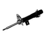 Oespectrum Premium Strut New. Price: $119.95.
