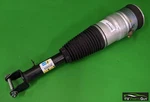 Tesla Model 2012-2016 Front Air Spring Module Rwd P85+LH/RH 6006351-04-A Used. Price: $175.00.