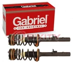 Pc Gabriel Rear Suspension Strut Assemblys For 1998-2004 Dodge Intrepid Oa New. Price: $352.88.