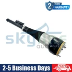 Rear Left Air Suspension Shock Strut For Mercedes S-class W222 A2223202513 2013- New. Price: $223.25.