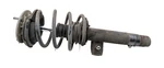 Driver Left Strut Front Awd Fits 07-10 Bmw 328XI 335XI Used. Price: $142.14.
