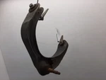 Driver Upper Control Arm Front 06-08 Dodge 1500 Pickup 55366653AG Used. Price: $75.99.