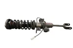 09-12 Bmw F01 F02 F10 550I 740LI Front Right Shock Strut Spring Absorber Oem Used. Price: $182.40.
