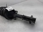 Strut Front Coupe 17" Wheel Base V6 05-09 Ford Mustang 7R3Z18124A Used. Price: $131.99.
