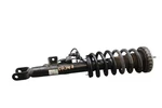 15-17 Hyundai Genesis G80 Front Right Passenger Side Shock Absorber Strut Oem Used. Price: $100.00.