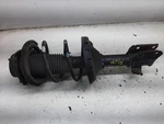 Passenger Right Strut Front Fits 03-06 Baja 199560 Used. Price: $82.50.