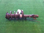 Driver Strut Front Without Turbo Excluding 17" Wheel Fits 05-09 Mazda 3 826518 Used. Price: $93.00.