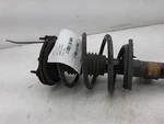 Driver Left Strut Front 00-07 Ford Taurus 4F1Z18124AA Used. Price: $127.99.