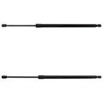 Pair Of Liftgate Struts 2020-2024 Ford Escape Platinum Se 2.5L LJ6Z78406A10B New. Price: $96.26.