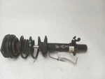 2007-2015 Mini Cooper Driver Strut Used. Price: $71.10.