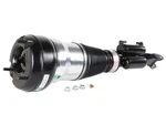 Arnott Industries Front Left Air Suspension Strut 222320830180 Mercedes Benz S63 New. Price: $1054.77.