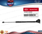 Genuine Rear Tail Gate Lifter Assy Right For Kia Seltos 2020-2023 81840Q5000 New. Price: $43.34.