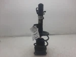 Passenger Strut Front Without John Cooper Works Fits 02-06 Mini Used. Price: $144.99.