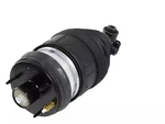 Genuine Mopar Air Suspension Spring And Shock Assembly Left 68409725AD New. Price: $924.60.