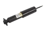 Genuine 2003-2017 Chevrolet Gmc Express Savana Front Shock Absorber 84334625 New. Price: $62.36.