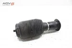 2022 - 2024 Rivian R1S Rear Right Passenger Side Air Suspension Strut Spring Oem Used. Price: $314.99.