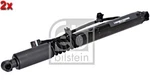Febi 2X Wing-door Gas Spring Strut For Tesla Model 15- 1063441-00-C New. Price: $423.05.