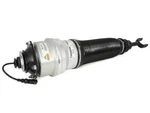 Arnott Air Strut Assembly Front Driver Left Rebuilt AS-2561 New. Price: $876.86.