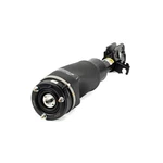 Arnott Suspension Strut Assembly AS-2797 New. Price: $738.12.